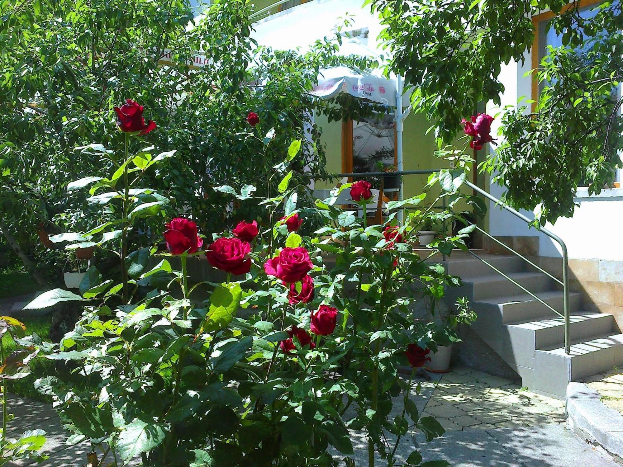 Family Hotel Sonata Samokov Exteriér fotografie